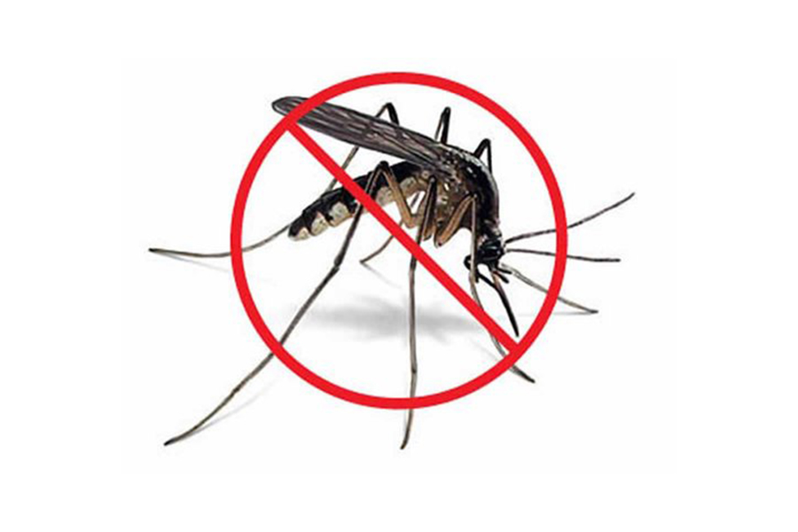 Mosquito Services