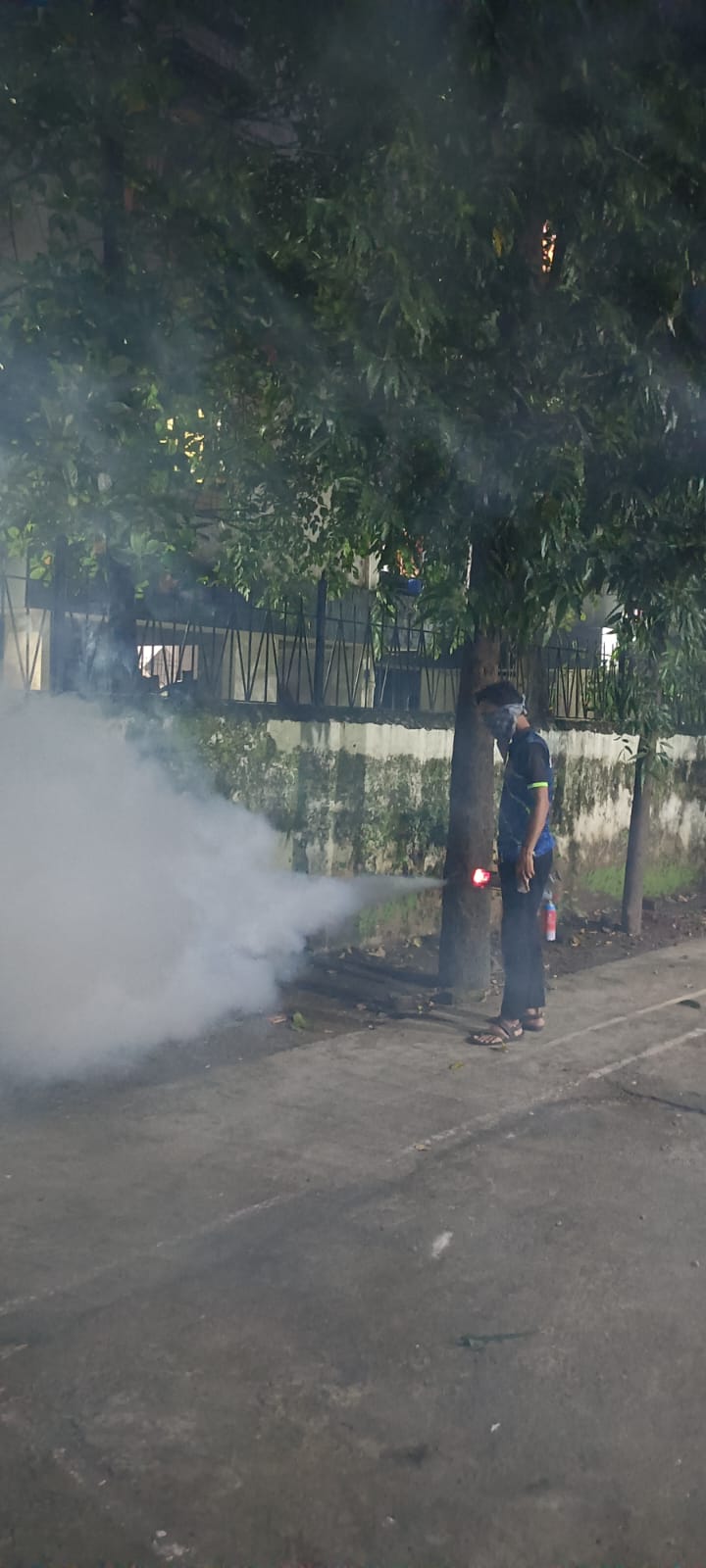 Mosquito Fogging Service